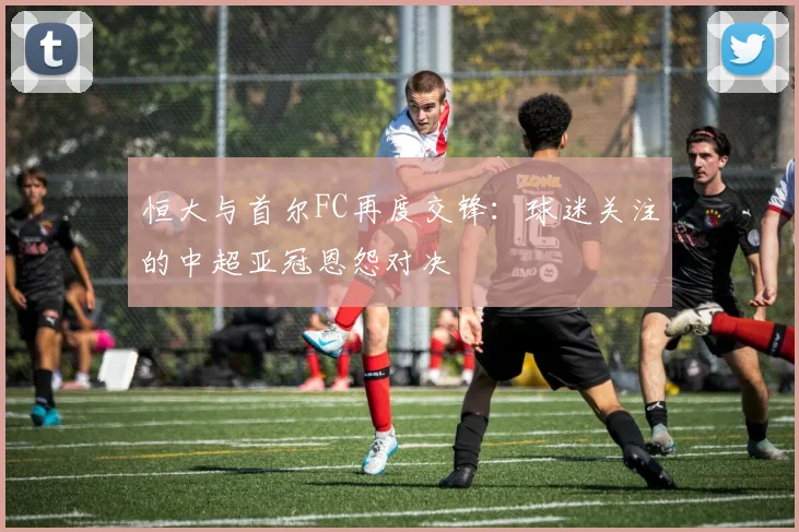 恒大与首尔FC再度交锋:球迷关注的中超亚冠恩怨对决