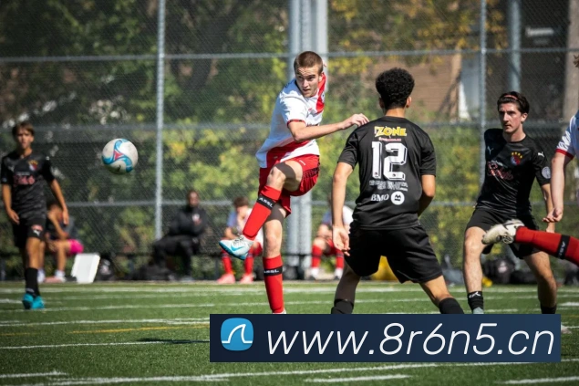 米兰app官网登录全站App